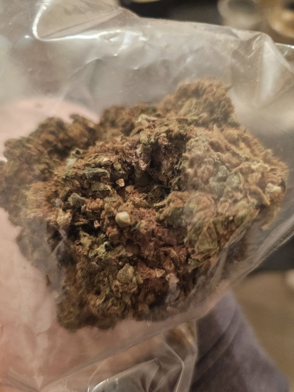 🎄Бошки🎄
